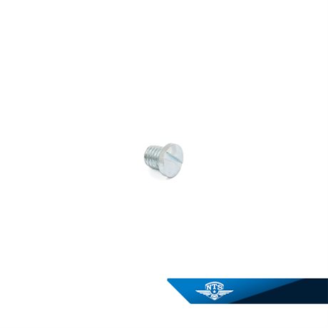 Oljeskruv NTS för Puch